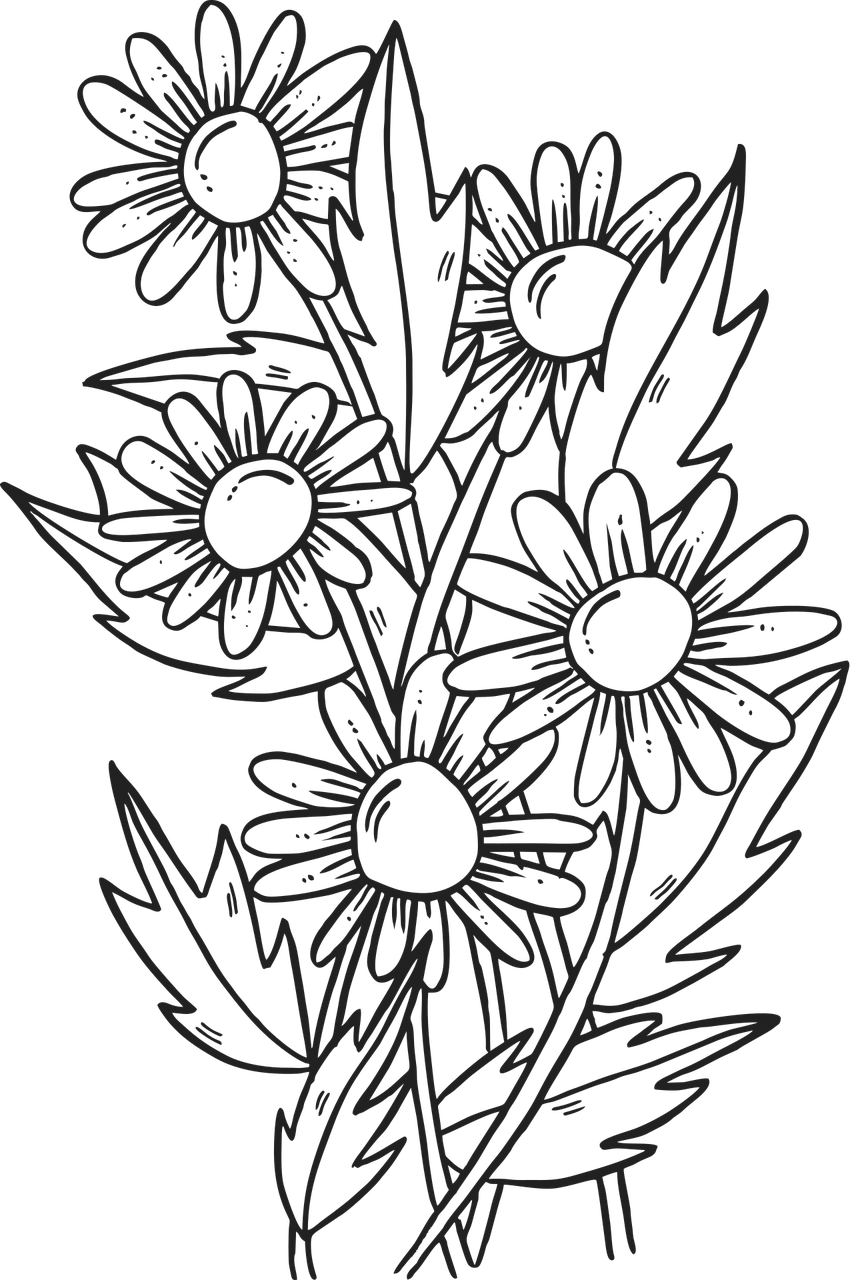 Flower Beautiful wallpaper Flower wallpaper