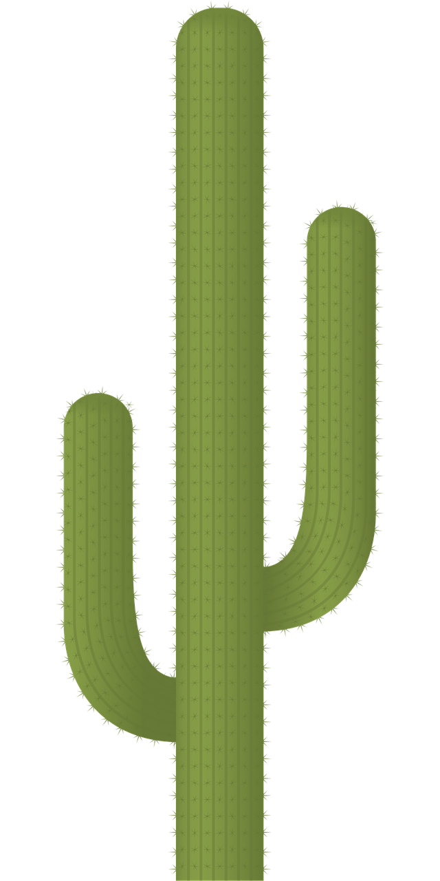 Cactus Plant Desert