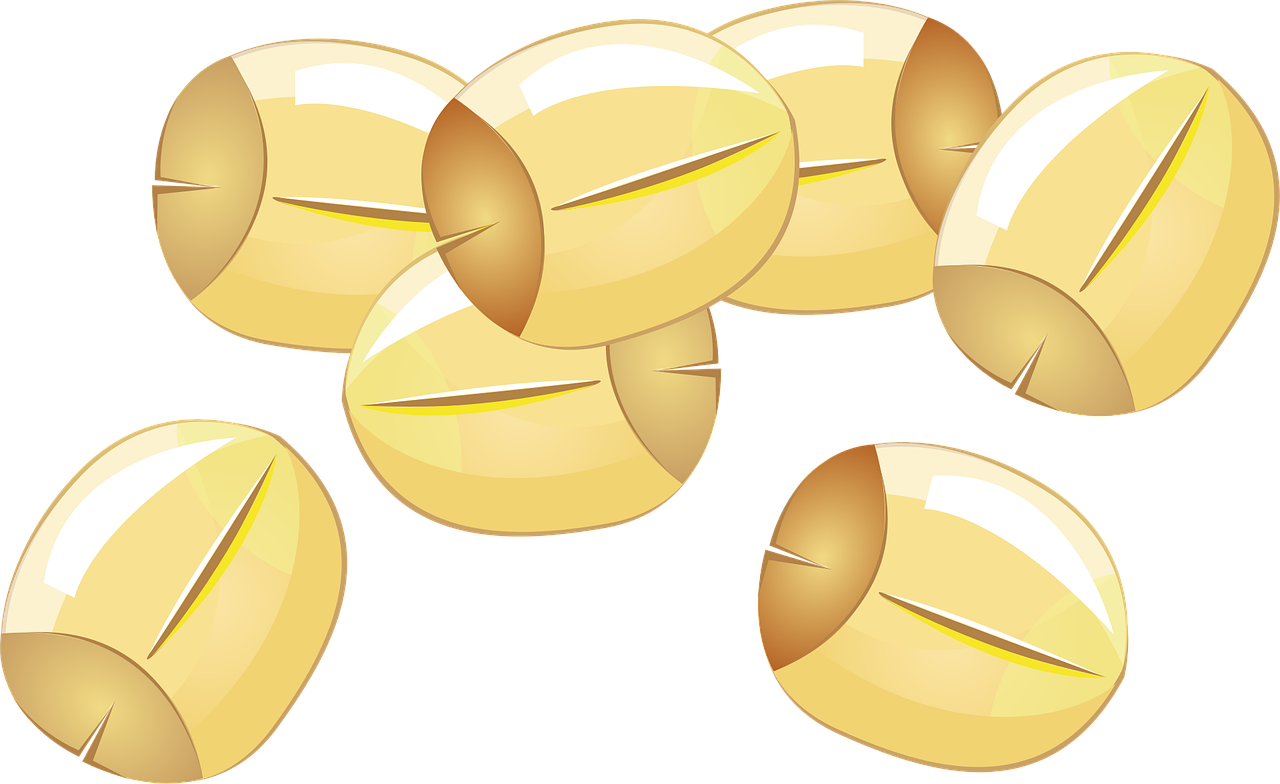 Lotus seeds Seeds Natural