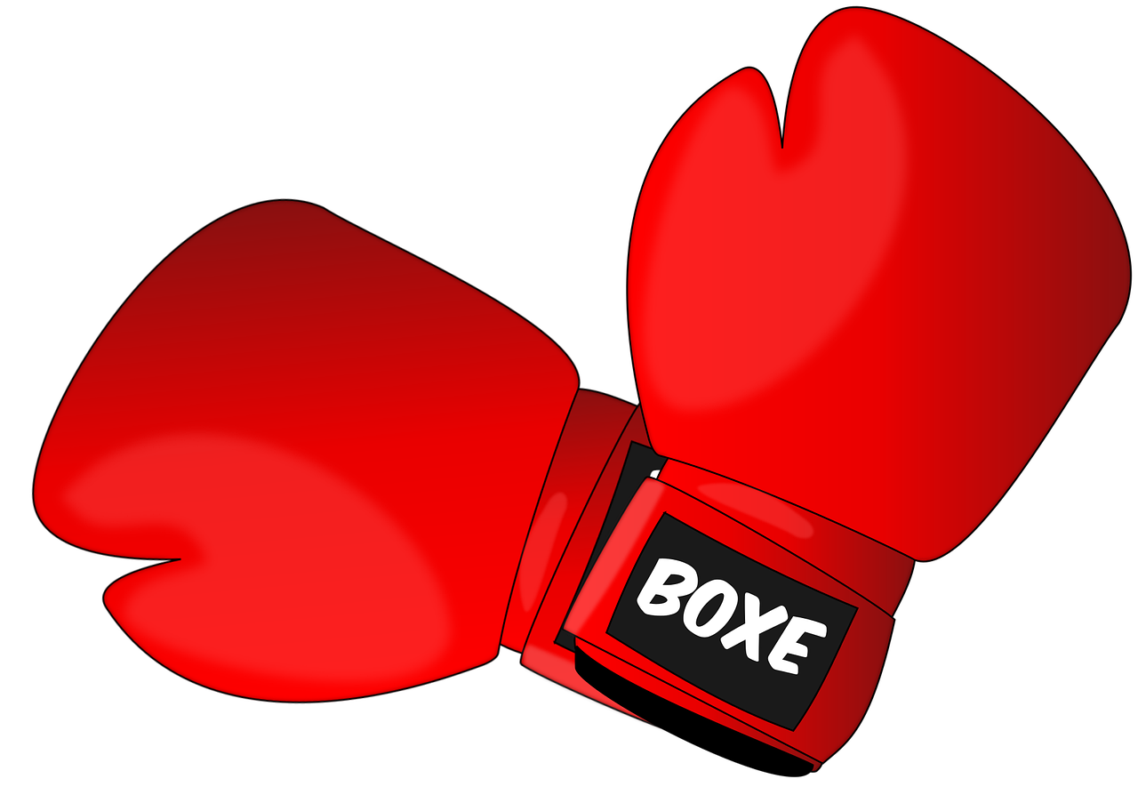 Boxing Fight Gloves