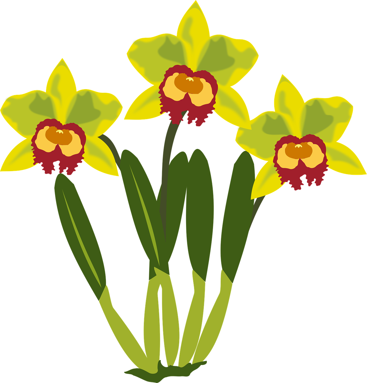 Clip art Flower wallpaper Flor