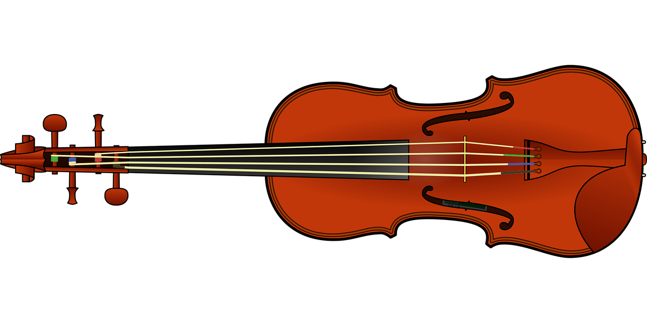 Violin Fiddle Instrument