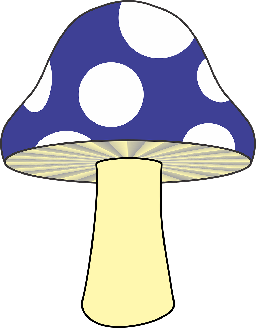 Mushroom Nature Blue mushroom