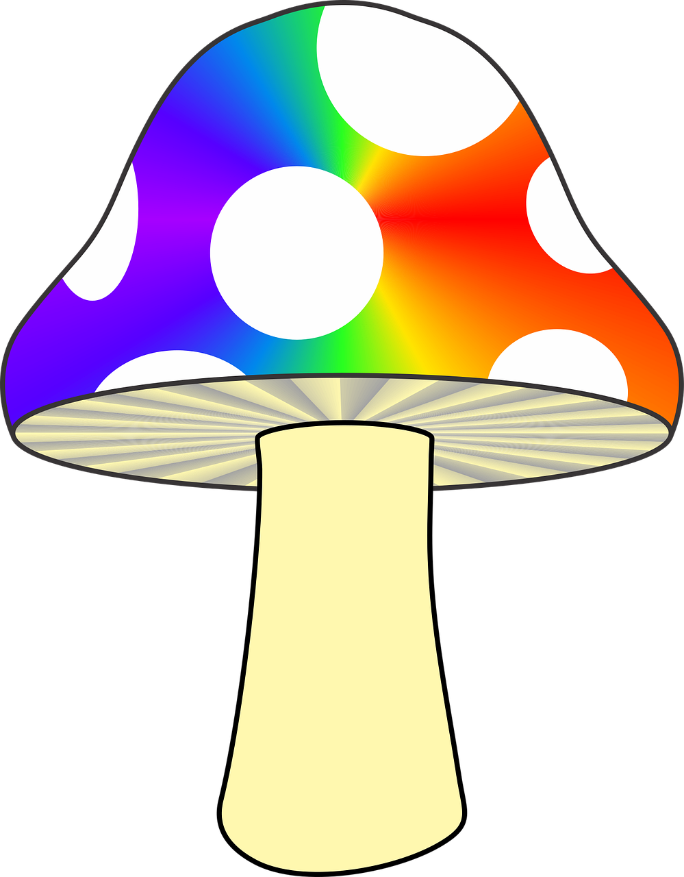 Mushroom Nature Colorful mushroom