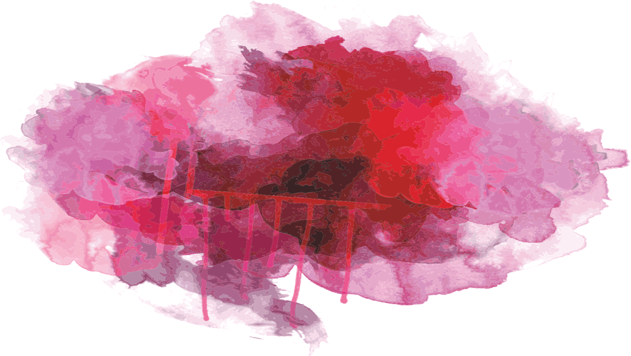 Cloud Rose flower Rose