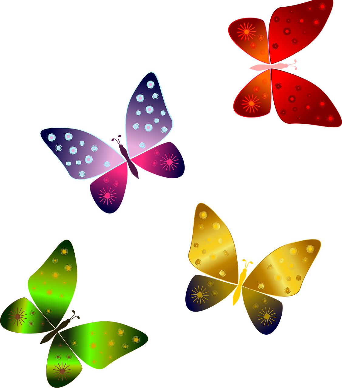 Butterflies Red butterfly Butterfly green