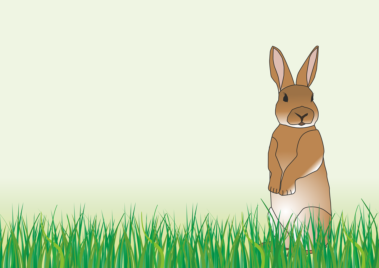 Rabbit Easter Spring