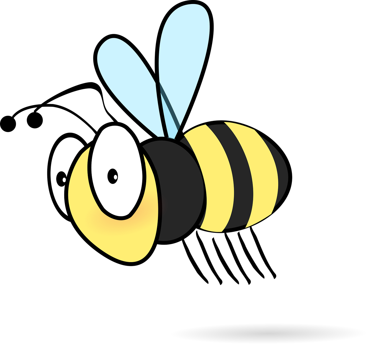 Bee Insect Cartoon