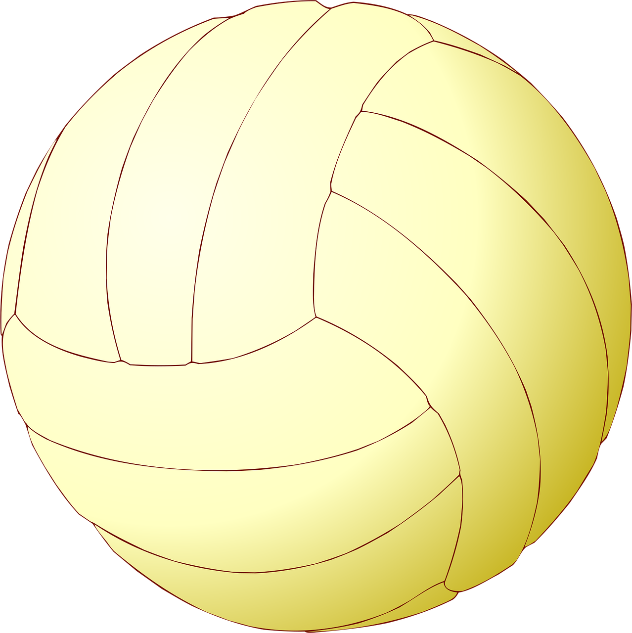 Volleyball Ball Volley