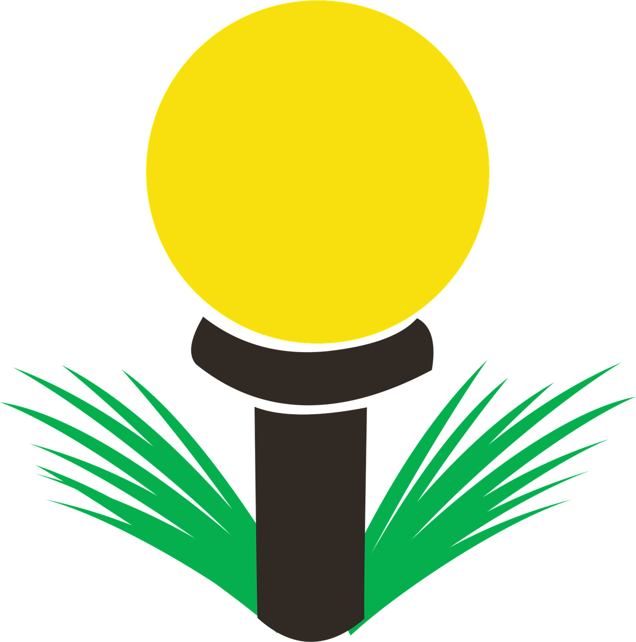 Golf Simple Golf ball