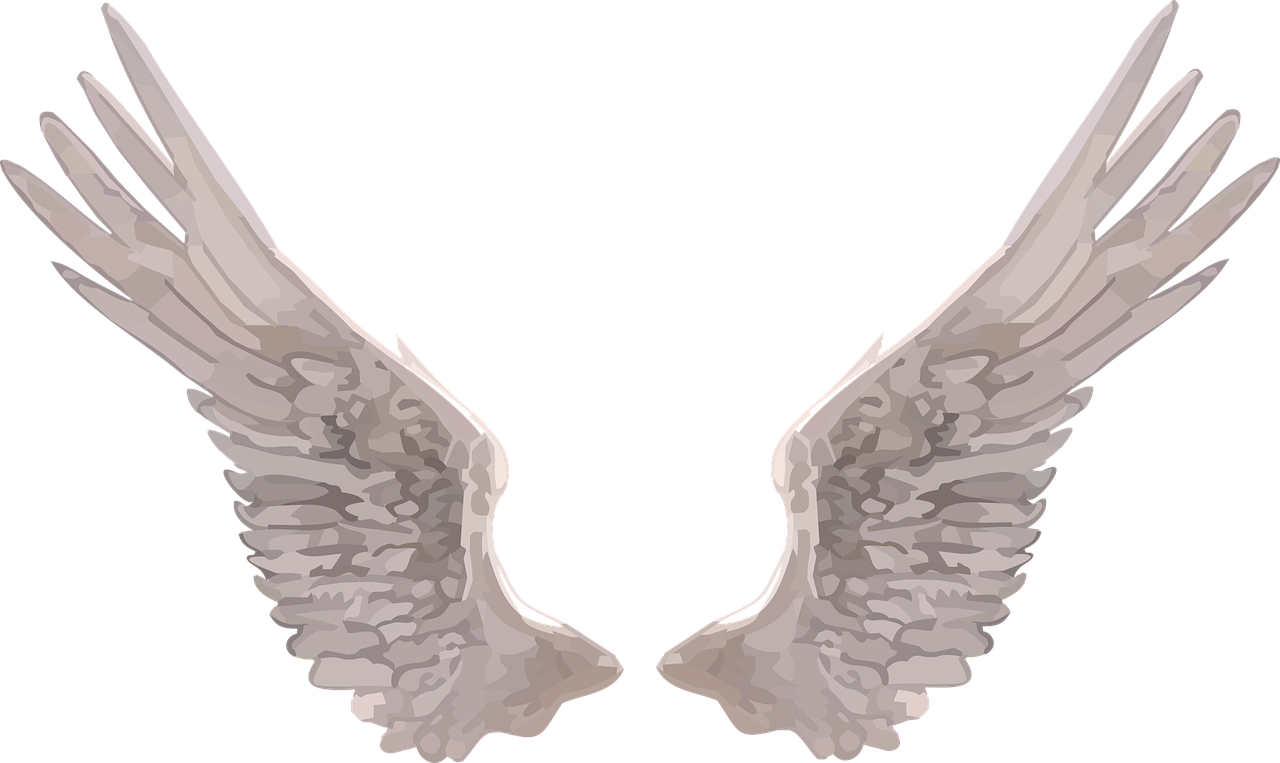 Wings Angel Realistic