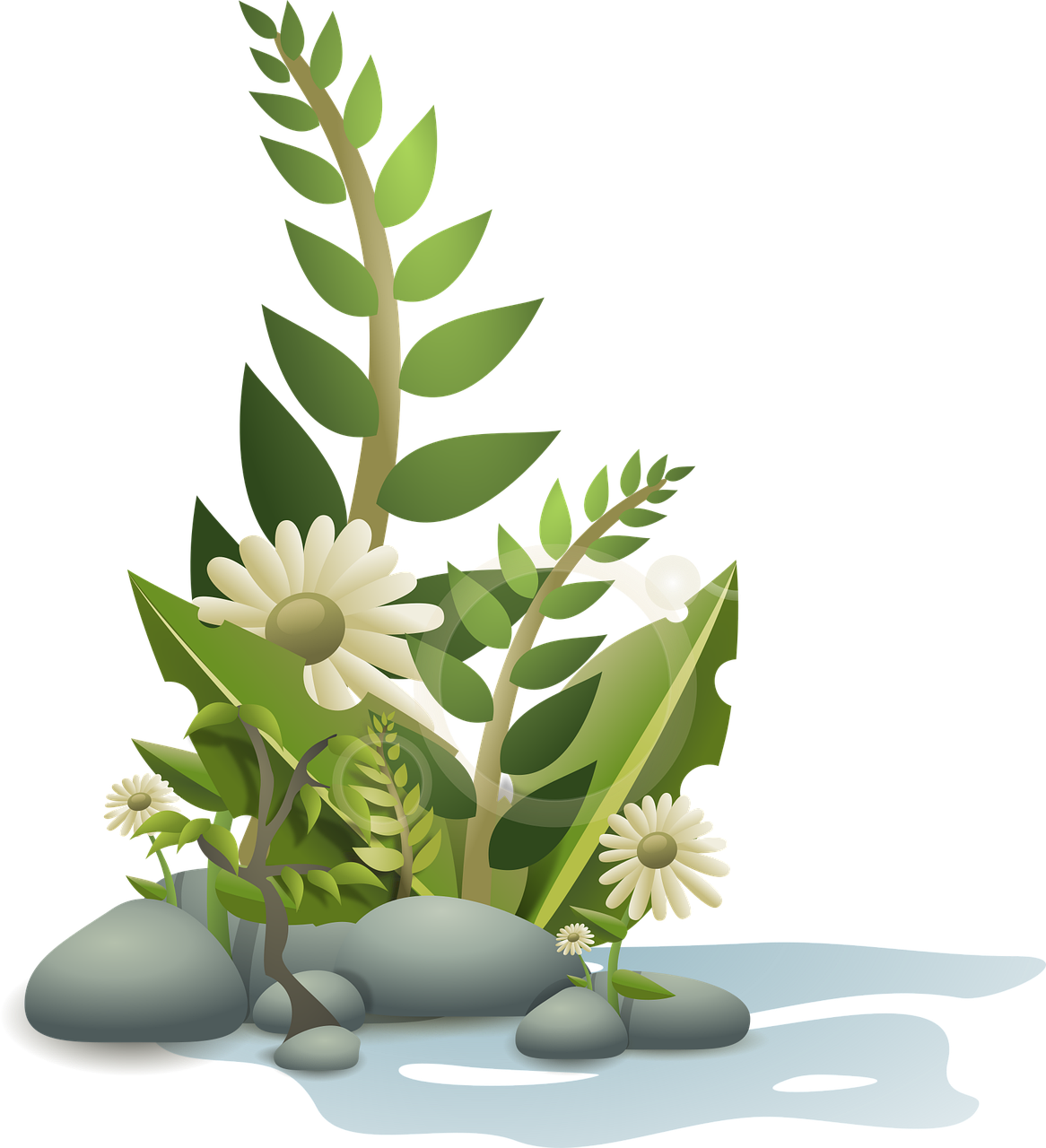 Flowers Plant Garden