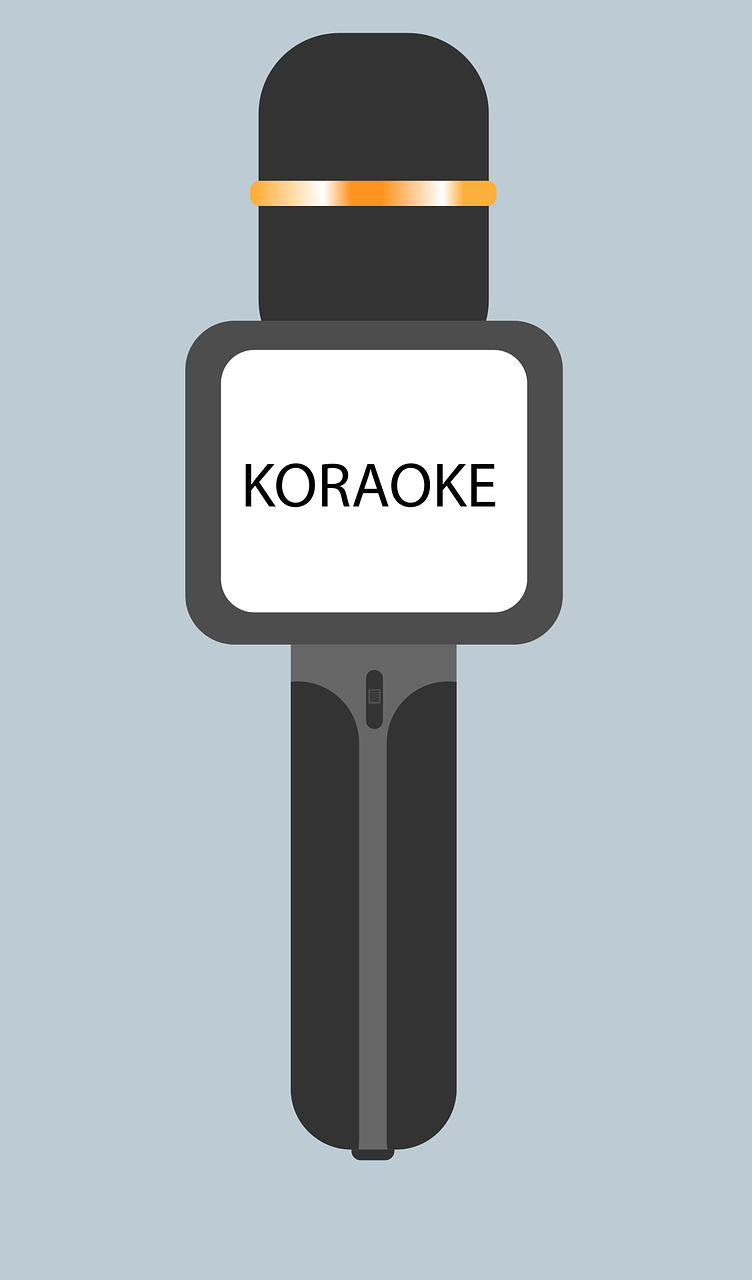 Karaoke microphone Microphone Voice