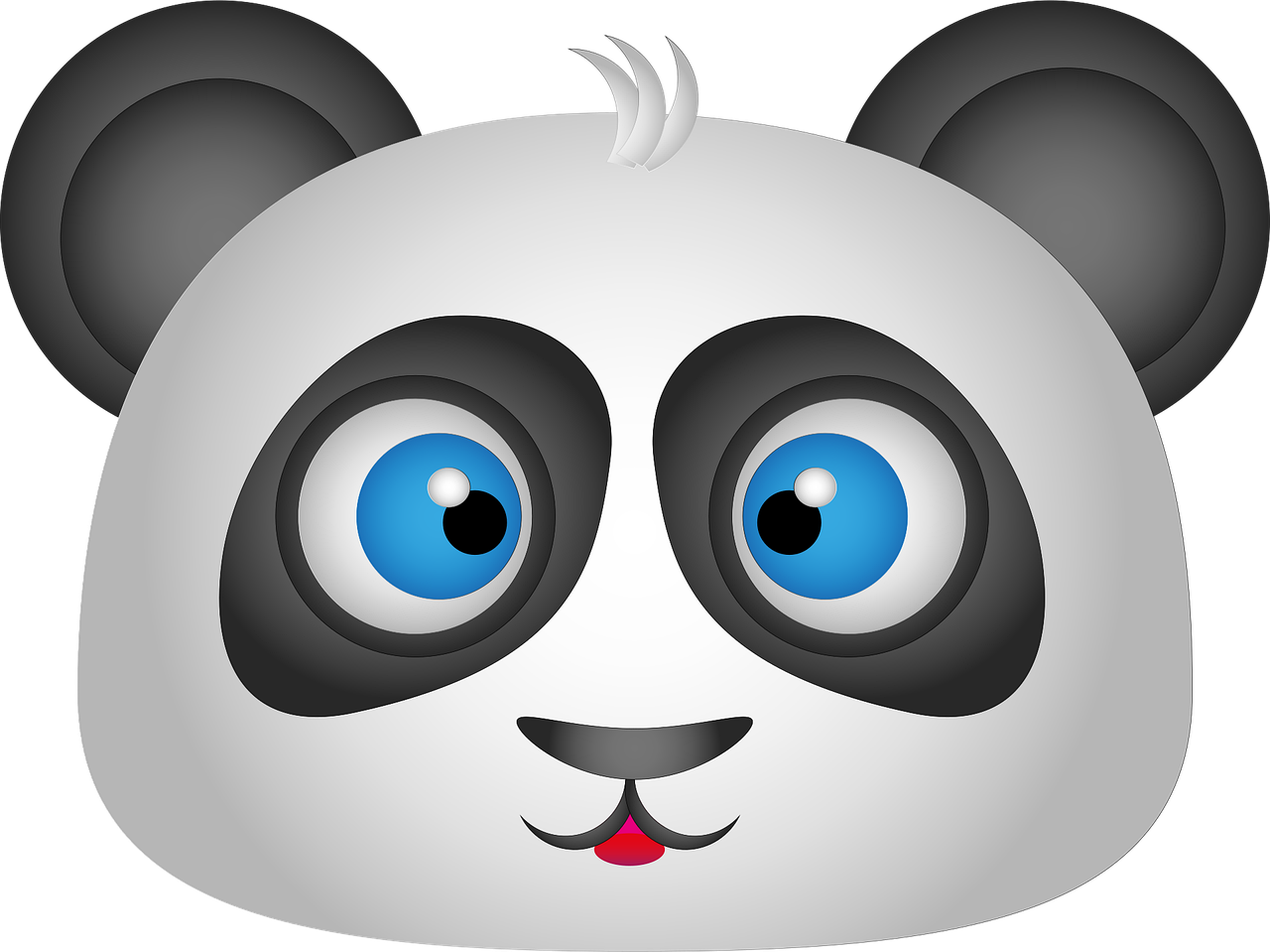 Giant panda Animal Nature