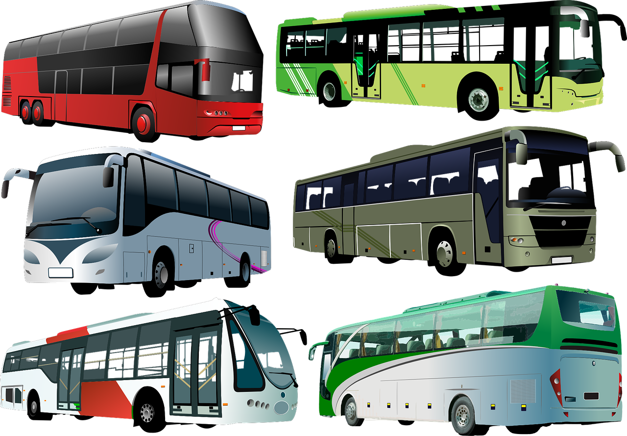 City bus Tourist bus Transport