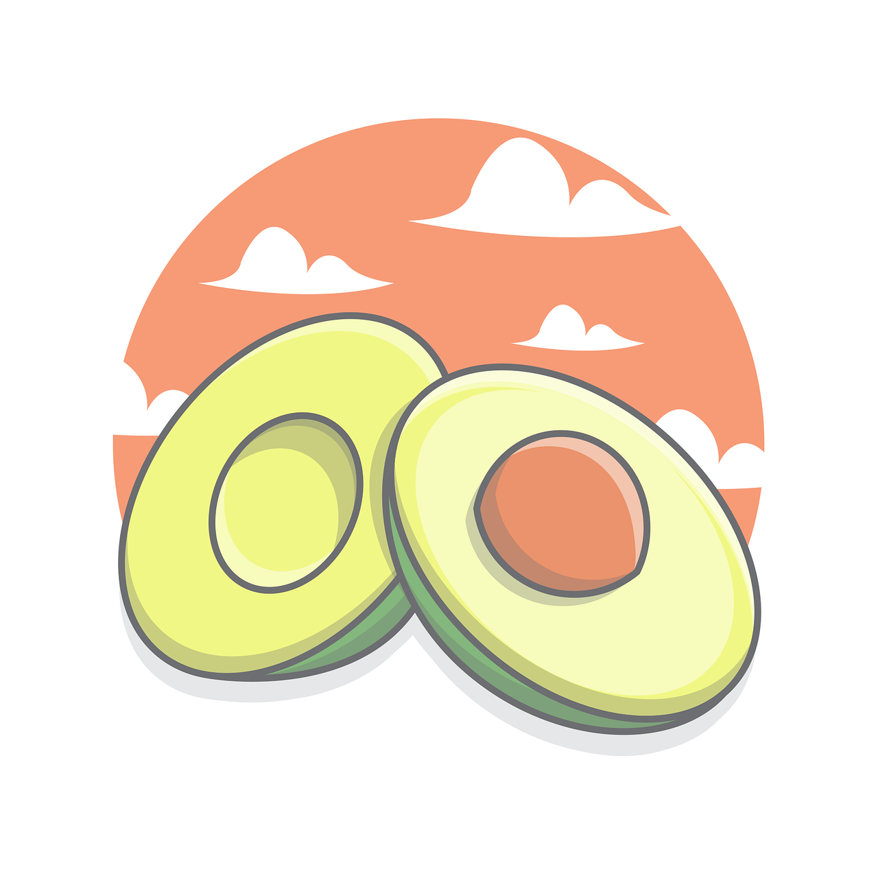 Avocado Fruit Food