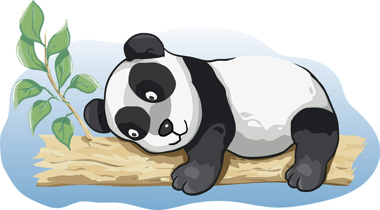 Panda Animal Bamboo