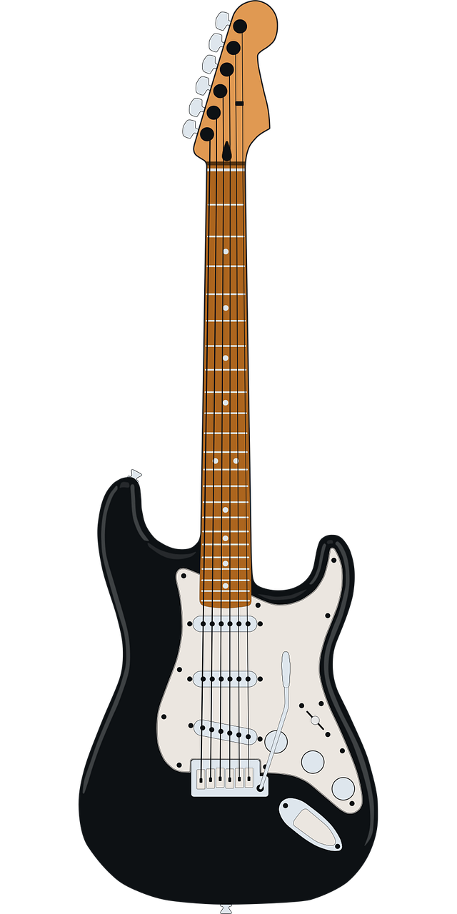 Instrument Guitar Fender starcaster