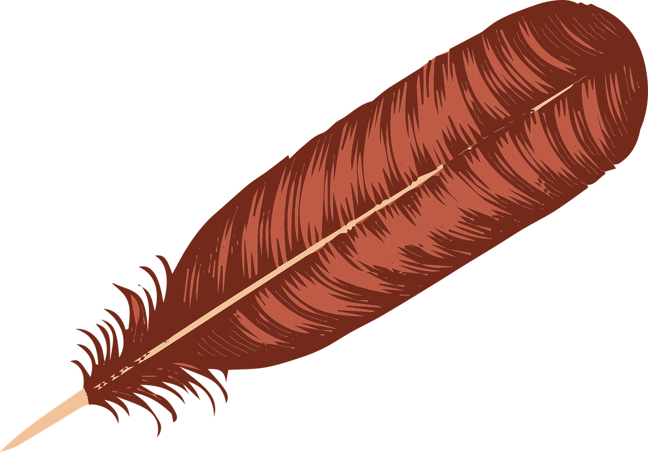 Turkey feather Feather Plumage