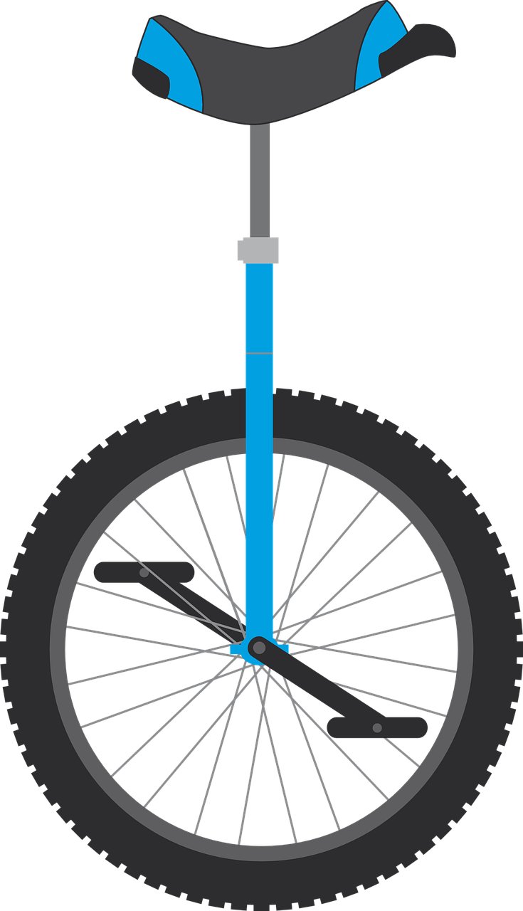 Unicycle Wheel Bicycle