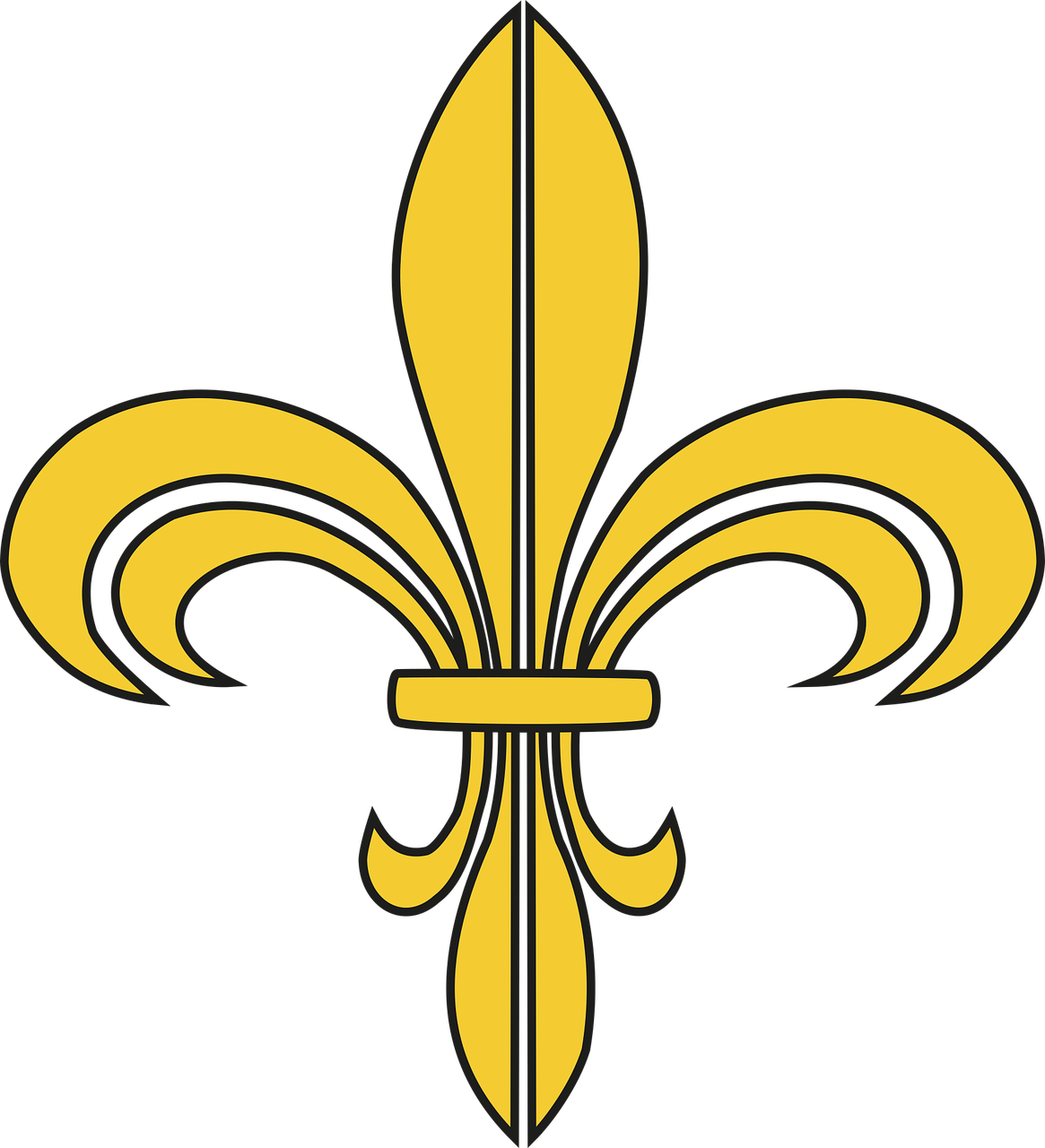 Noble lily Lily Noble