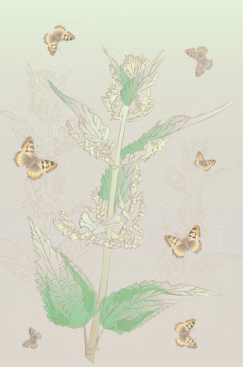 Nettle Nature Plant