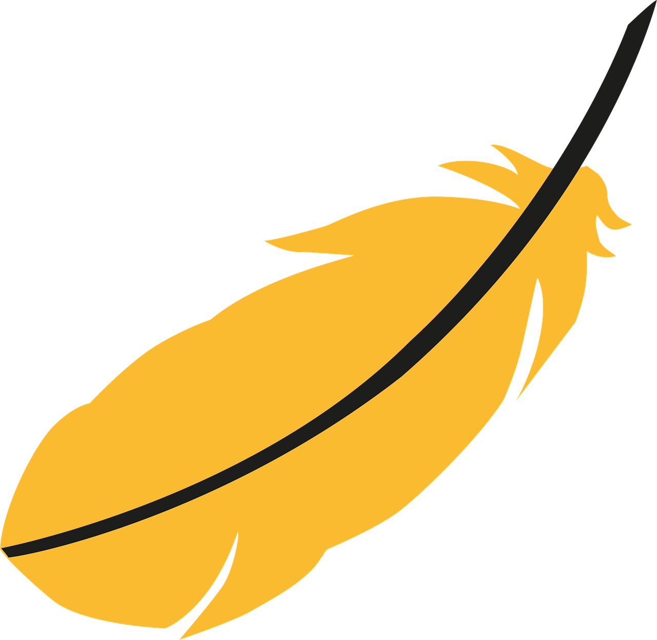 Feather Plumage Easy