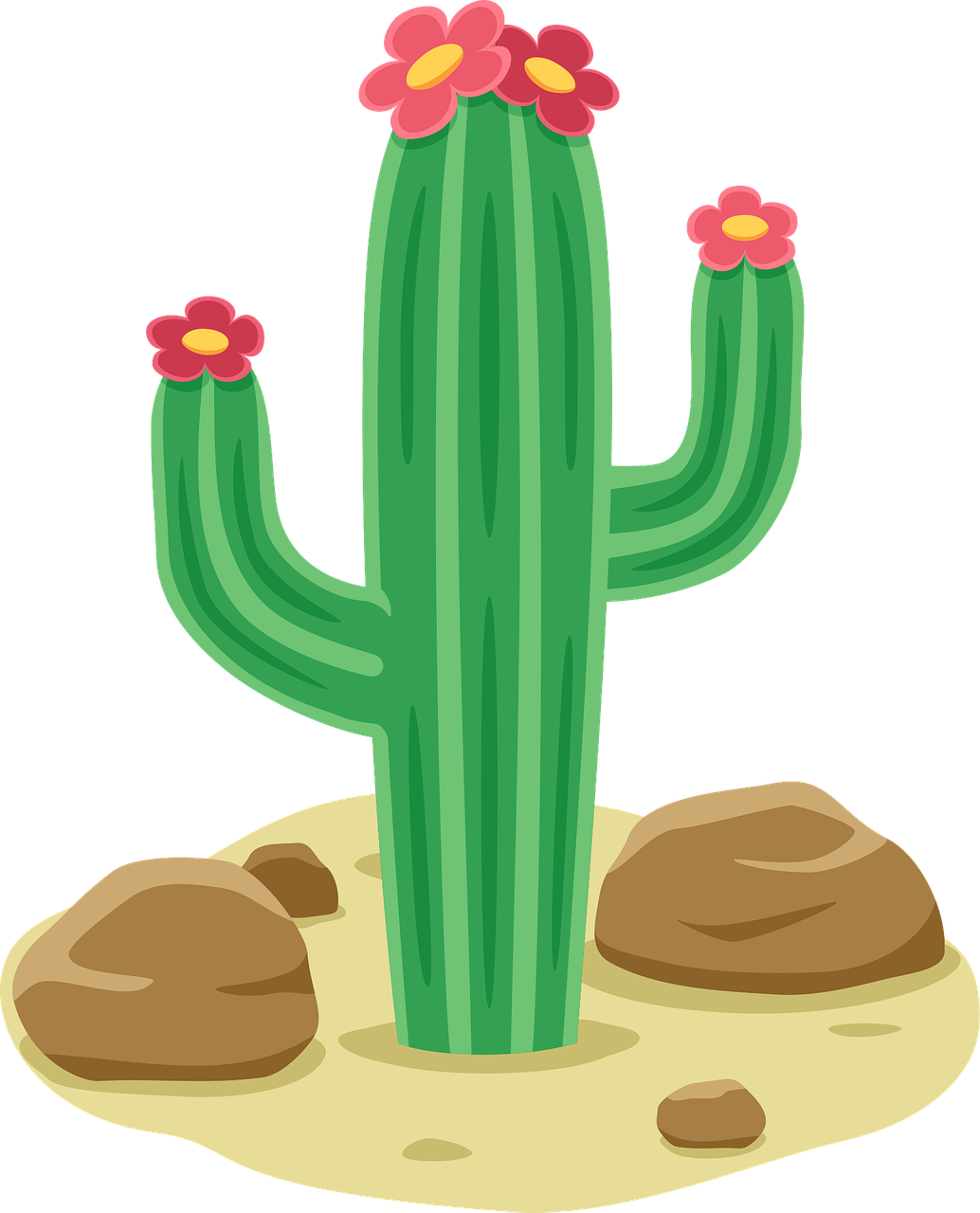 Cactus Desert Nature
